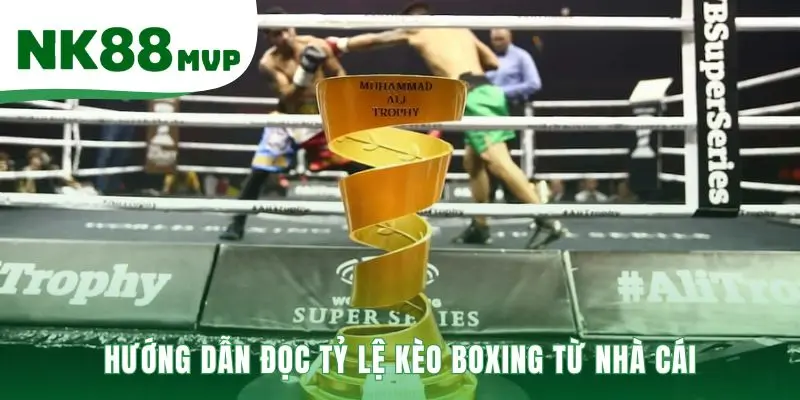 Tỷ lệ kèo giải thích kèo trên kèo dưới qua dấu âm và dương
